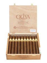 Oliva Serie O Churchill