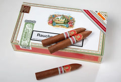 Saint Luis Rey Belicosos Edición Regional Alemania